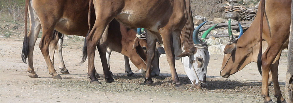 Tamil Nadu Organic Certification Department